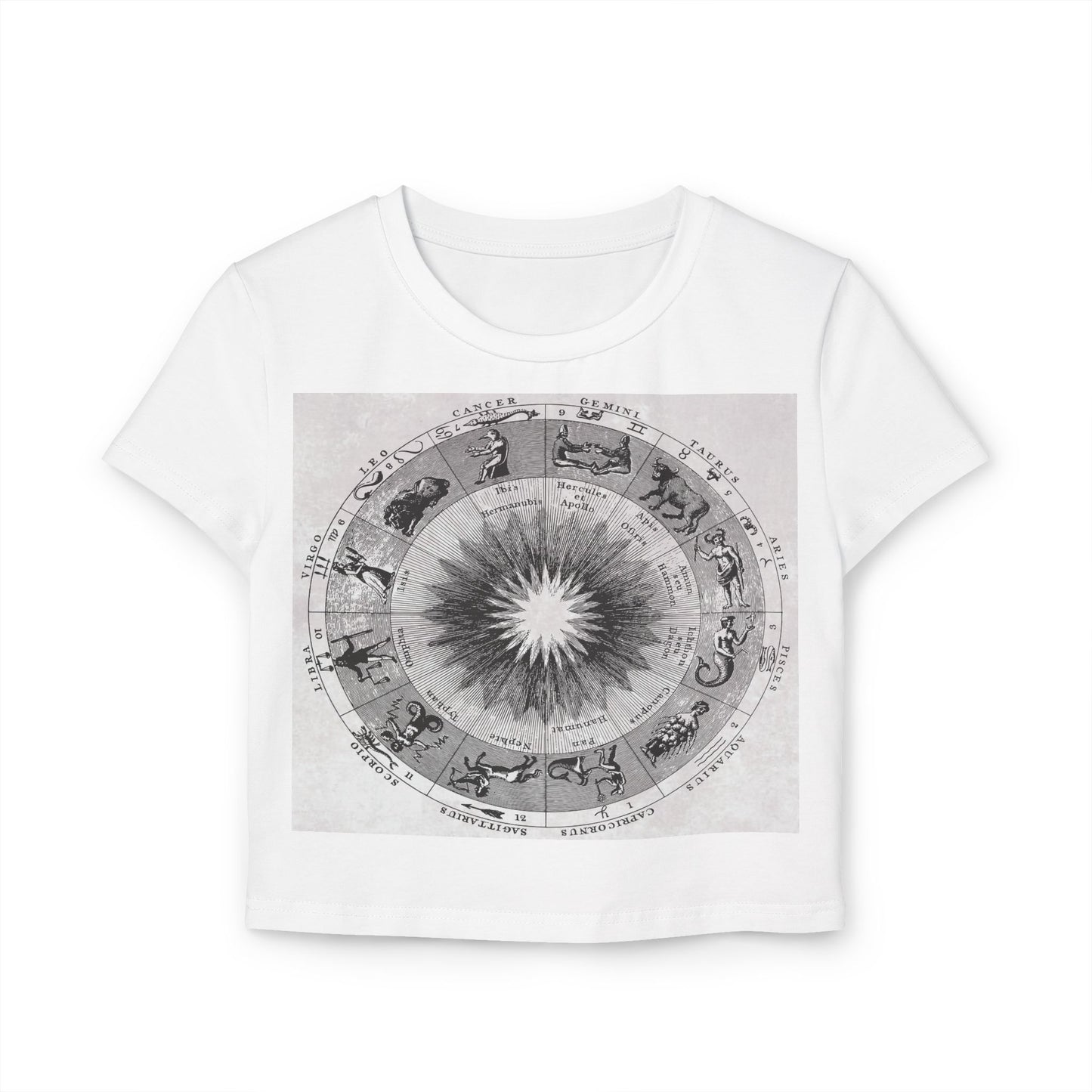 Allocism Baby Tee