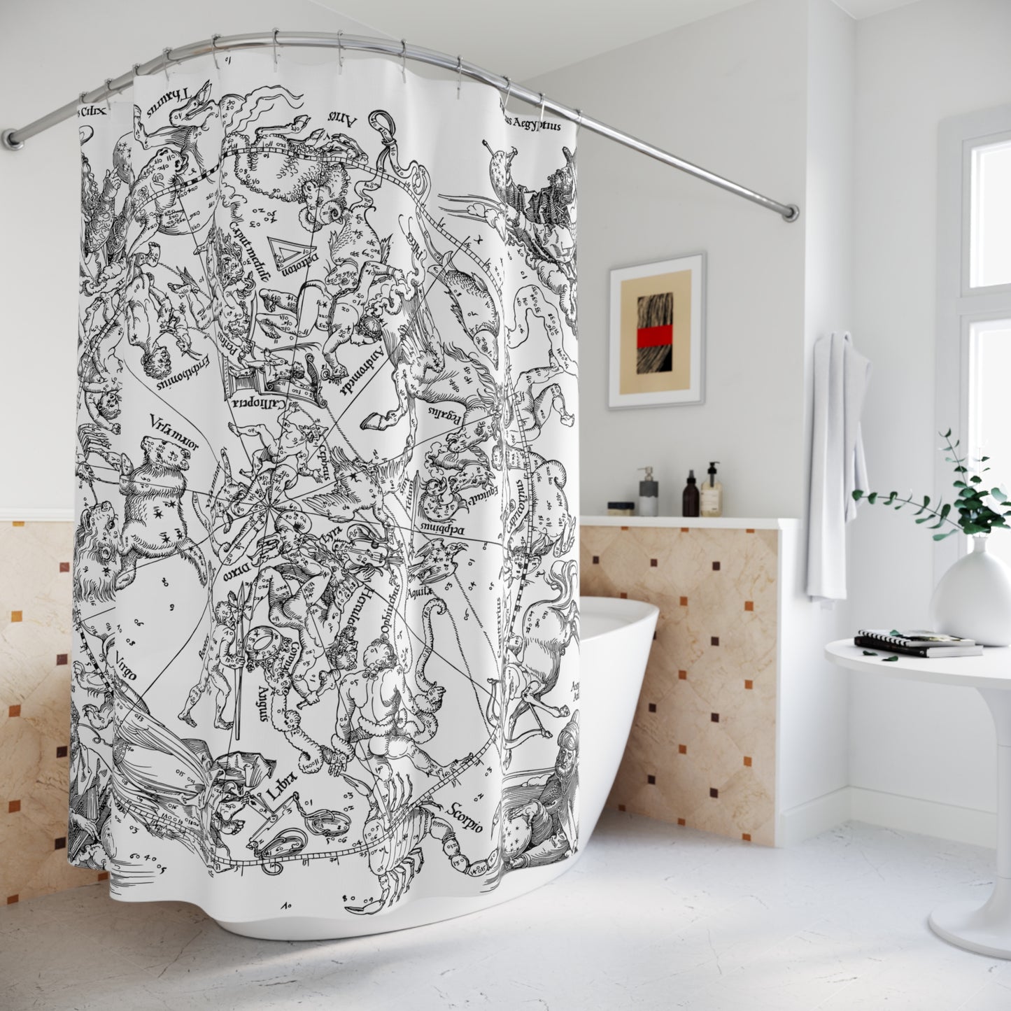Old World Astrology Shower Curtain